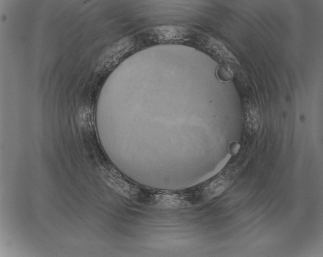 X0000067350419200604131755