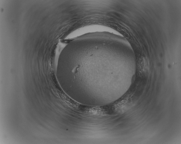 X0000067350420200604131755