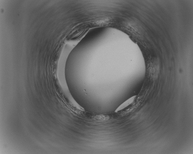 X0000067350421200604131755