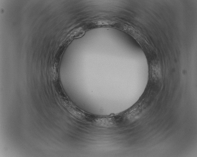 X0000067350422200604131755