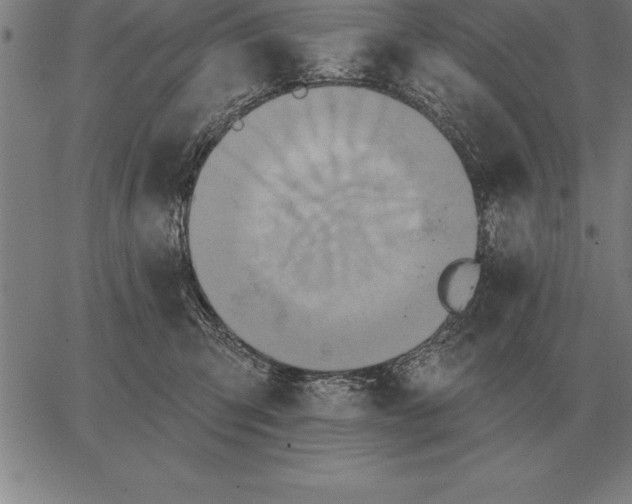 X0000067350423200604131755