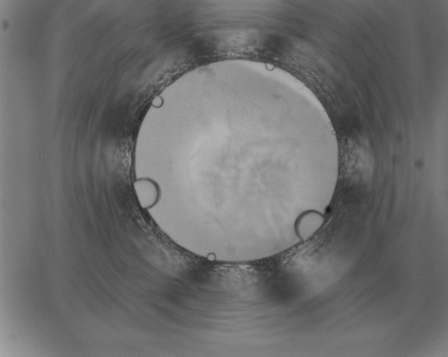 X0000067350427200604131755