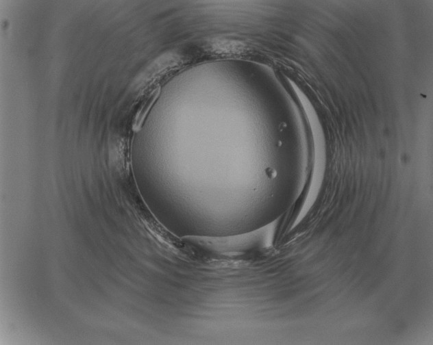 X0000067350428200604131755