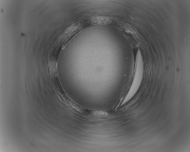 X0000067350429200604131755