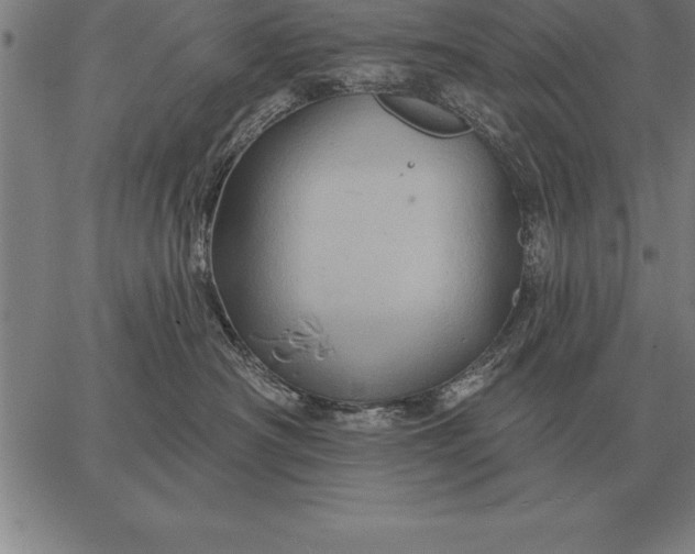 X0000067350430200604131755