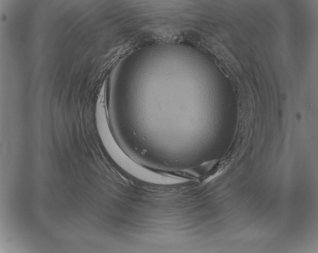 X0000067350432200604131755