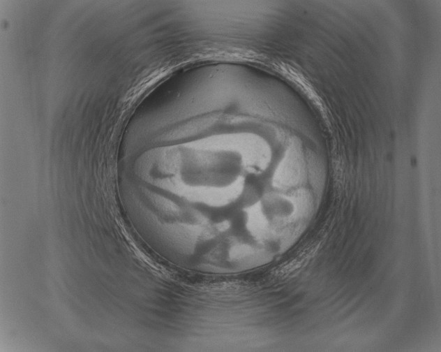 X0000067350433200604131754