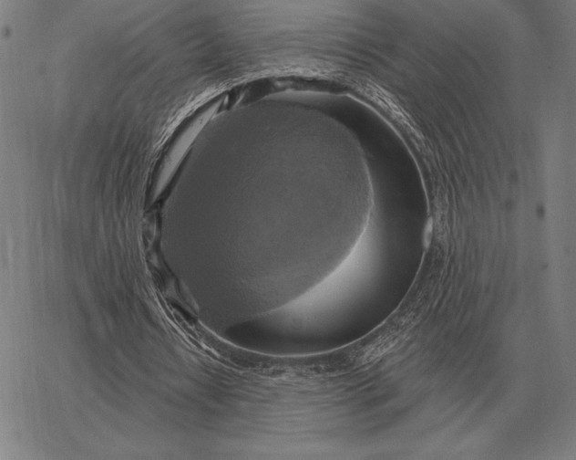 X0000067350434200604131754