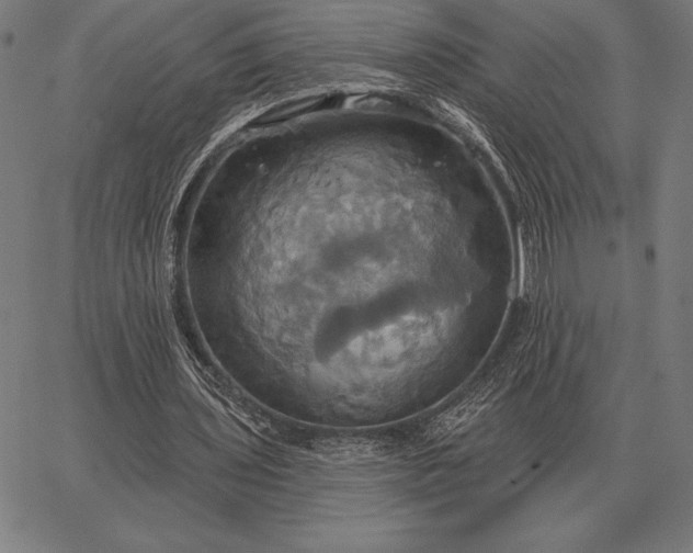 X0000067350435200604131754