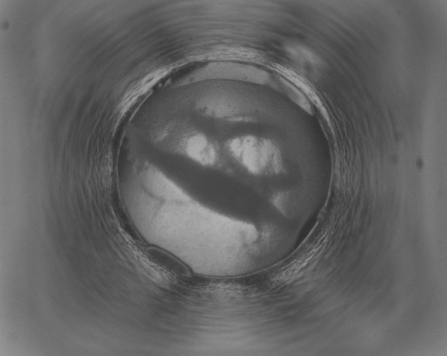 X0000067350437200604131754