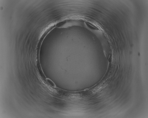 X0000067350438200604131754