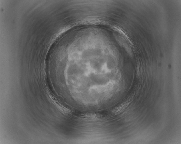 X0000067350439200604131754