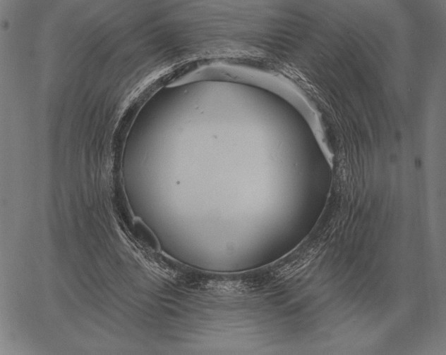 X0000067350440200604131754