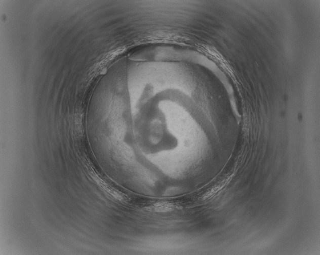 X0000067350441200604131754