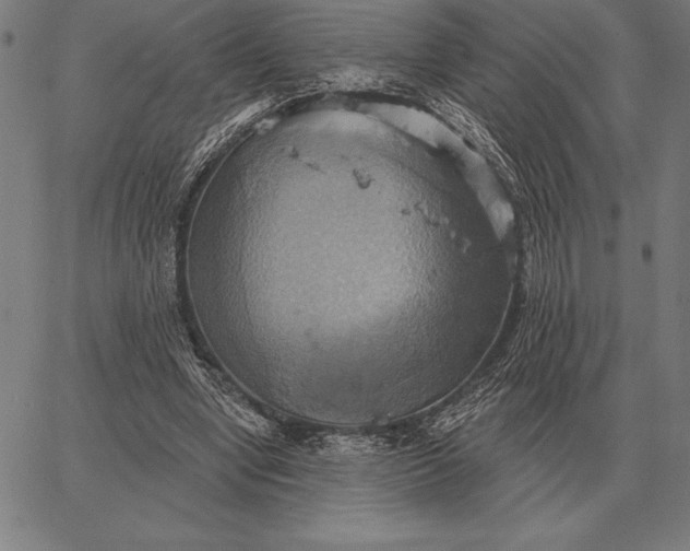 X0000067350442200604131755