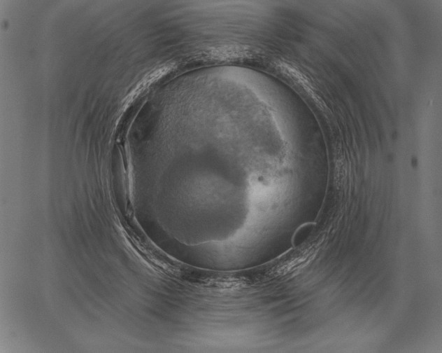 X0000067350443200604131755