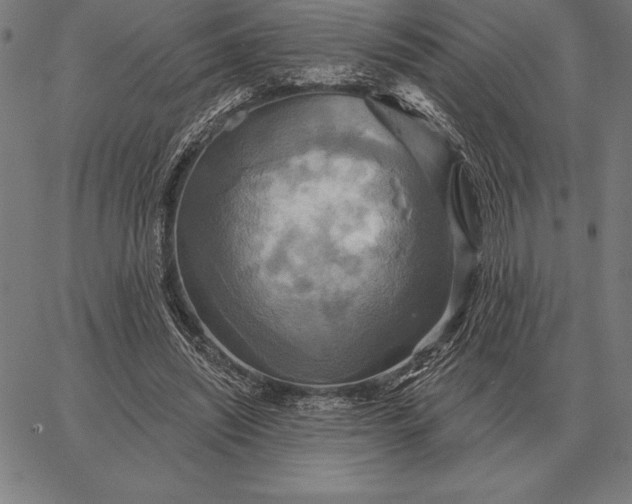 X0000067350444200604131755