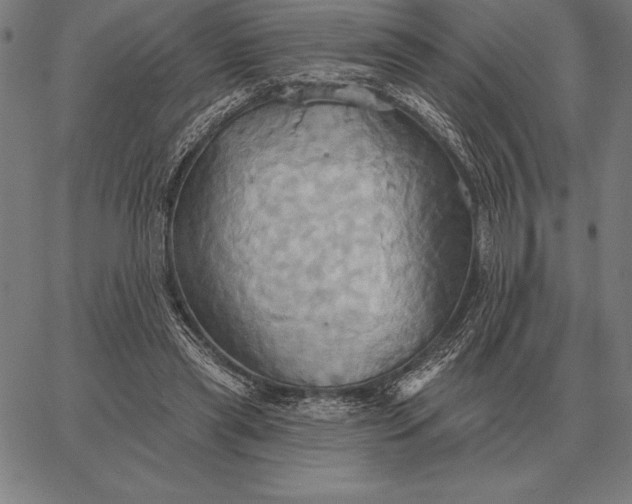 X0000067350445200604131755