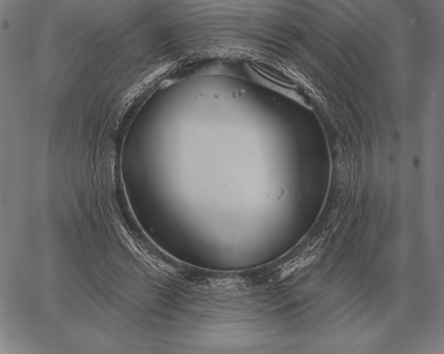 X0000067350446200604131755