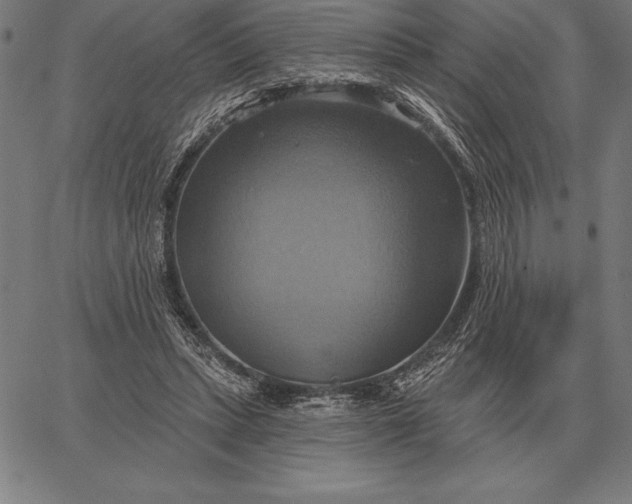 X0000067350447200604131755