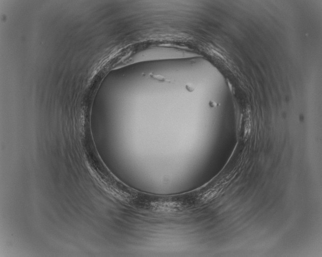 X0000067350448200604131755