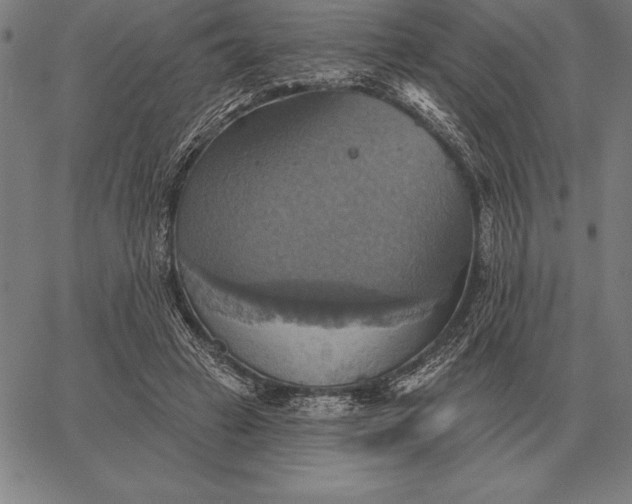 X0000067350449200604131755