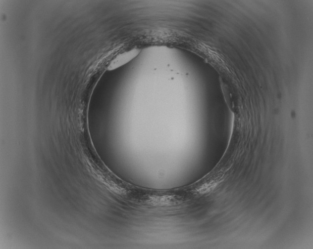 X0000067350450200604131755