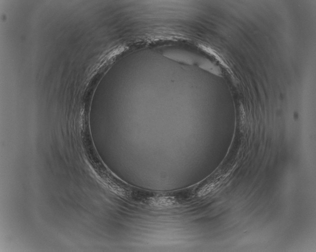 X0000067350451200604131755