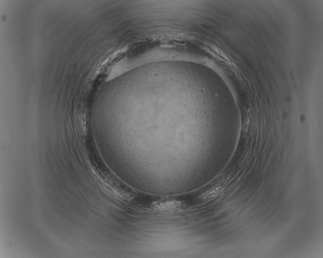 X0000067350452200604131755