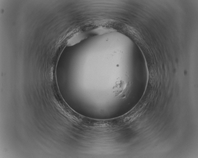 X0000067350454200604131755