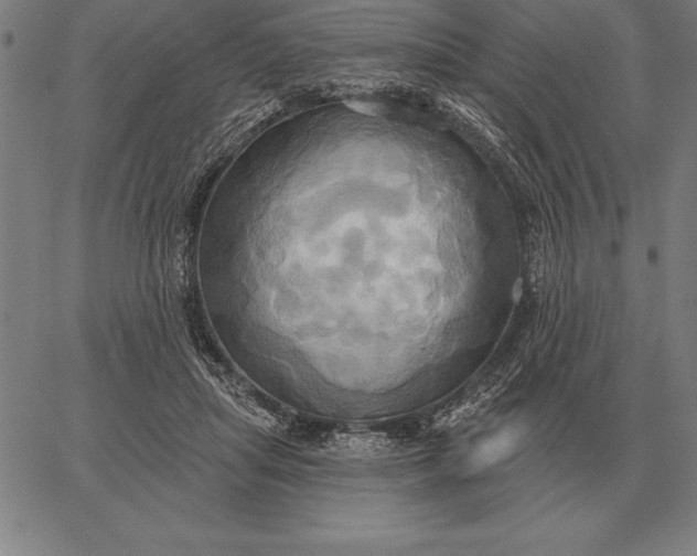 X0000067350455200604131755