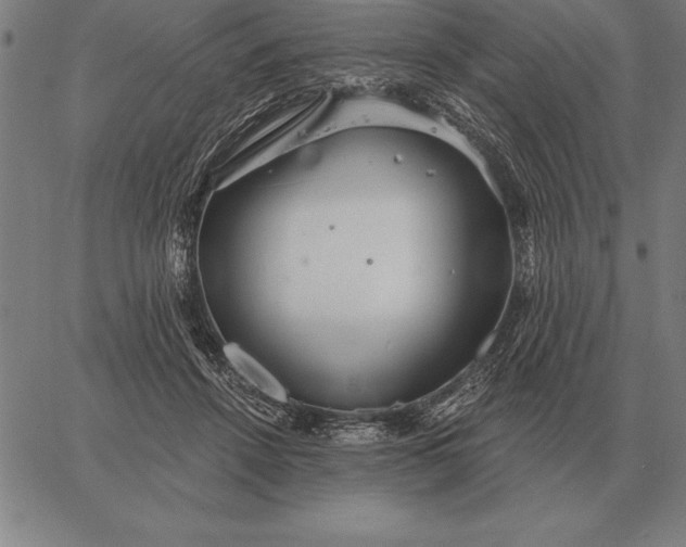 X0000067350456200604131755