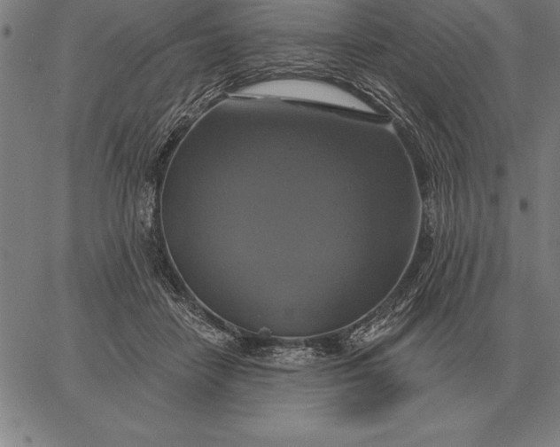 X0000067350458200604131755