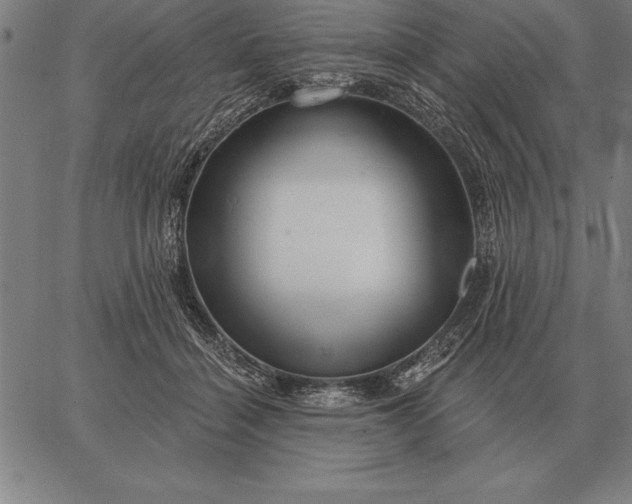 X0000067350460200604131755