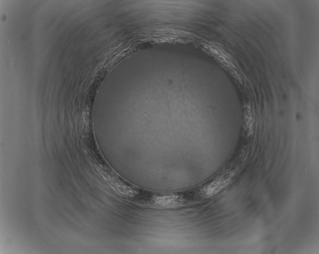 X0000067350461200604131755