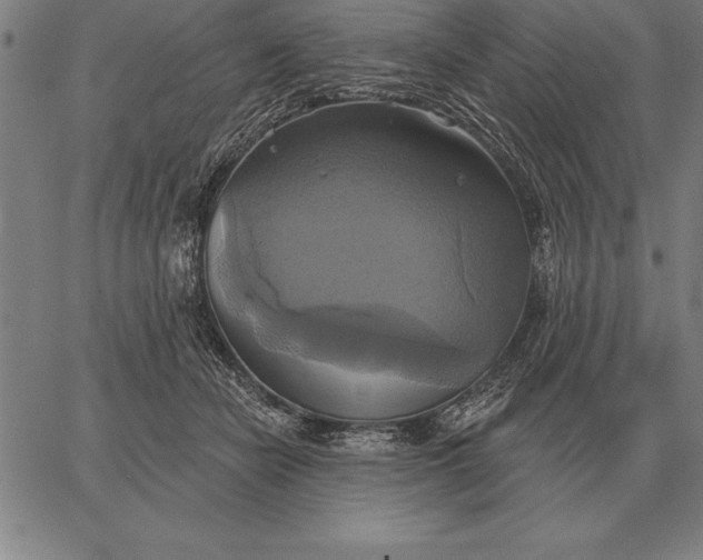 X0000067350462200604131755