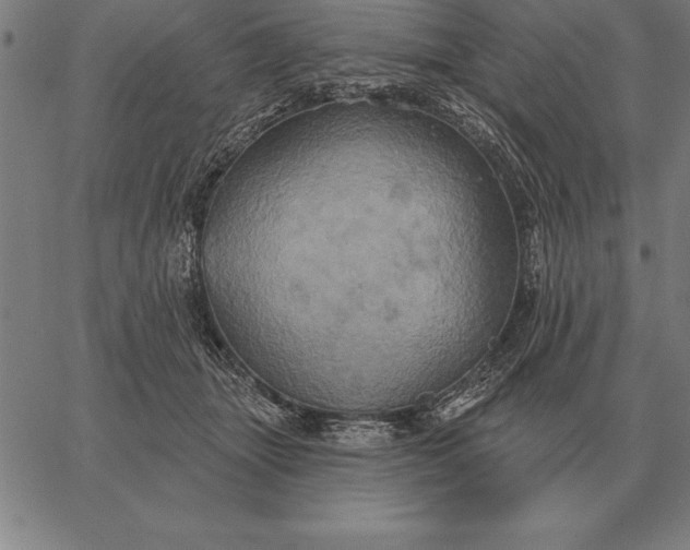 X0000067350463200604131755