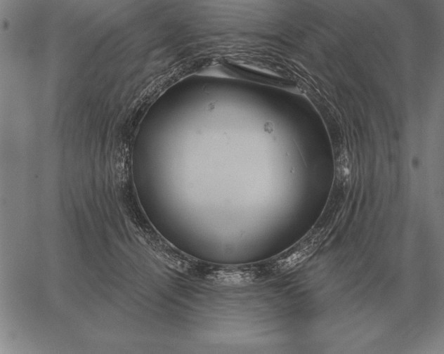 X0000067350464200604131755