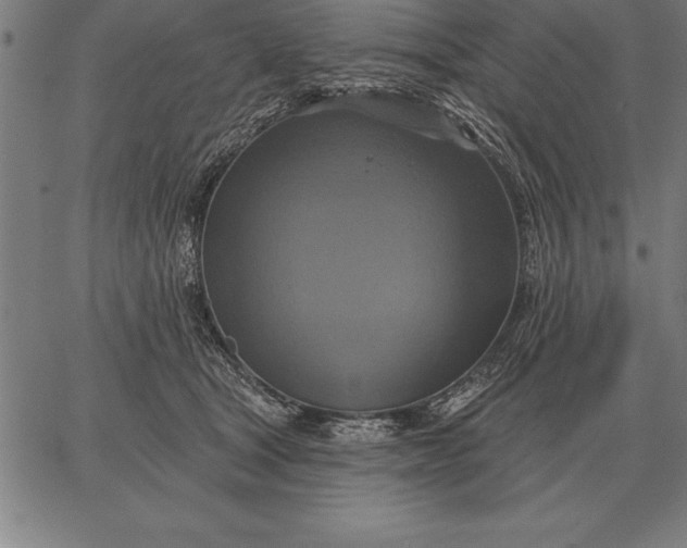 X0000067350465200604131755