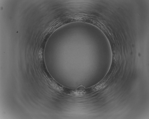 X0000067350466200604131755