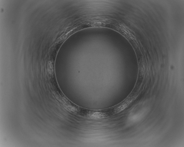 X0000067350467200604131755