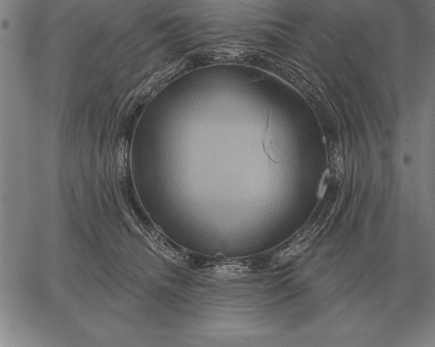 X0000067350468200604131755