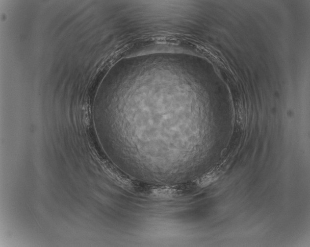 X0000067350470200604131755