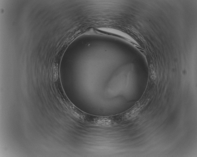 X0000067350471200604131755