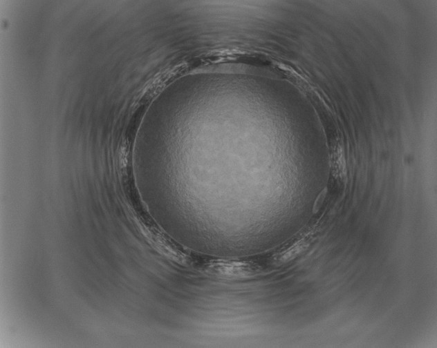 X0000067350472200604131755