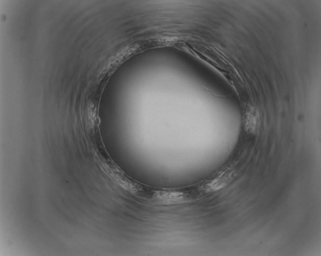 X0000067350476200604131755