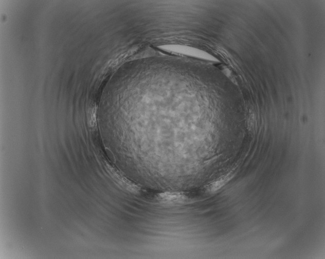 X0000067350477200604131755