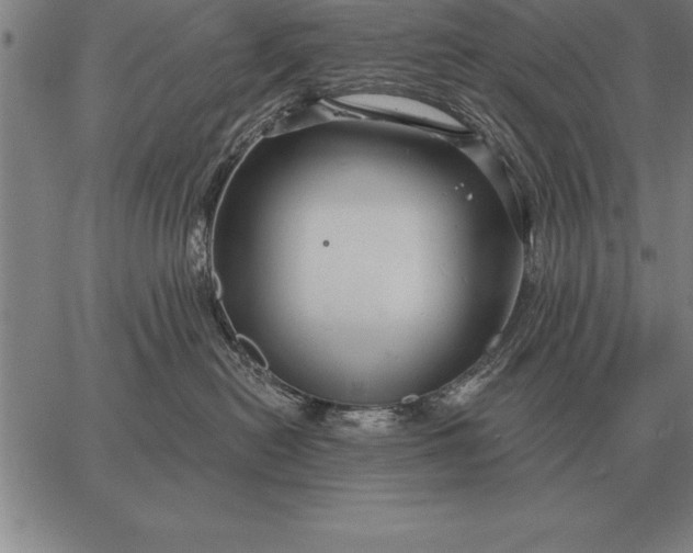 X0000067350478200604131755