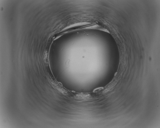 X0000067350480200604131755