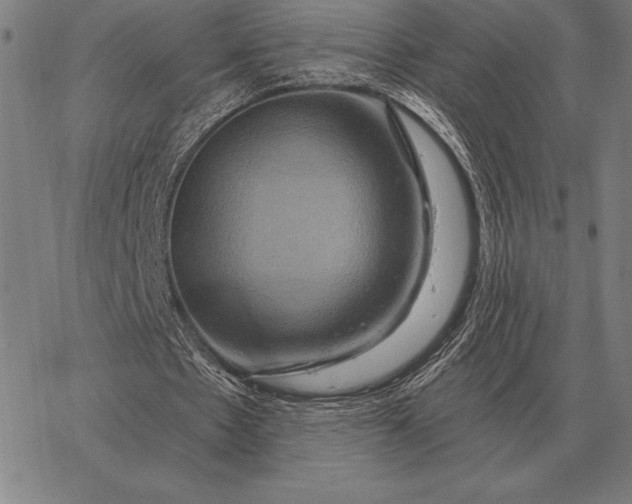 X0000067350481200604131754